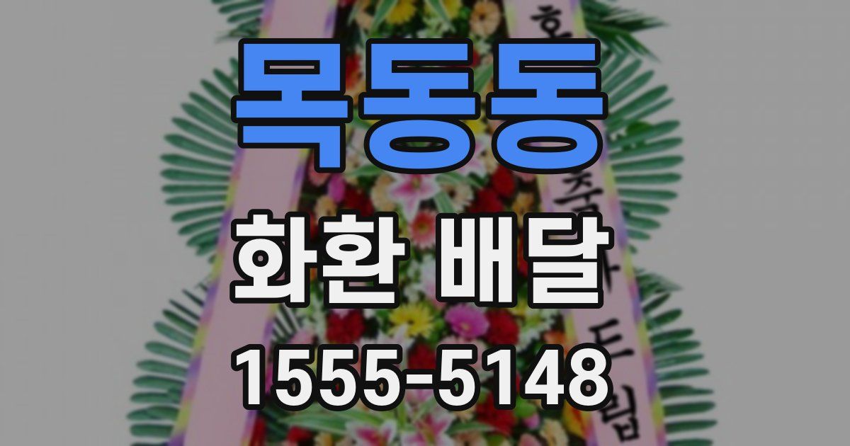 목동동 화환 배달