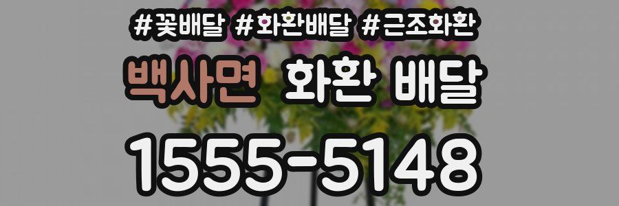 백사면 화환 배달