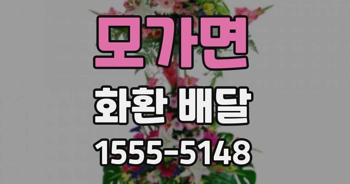 모가면 화환 배달