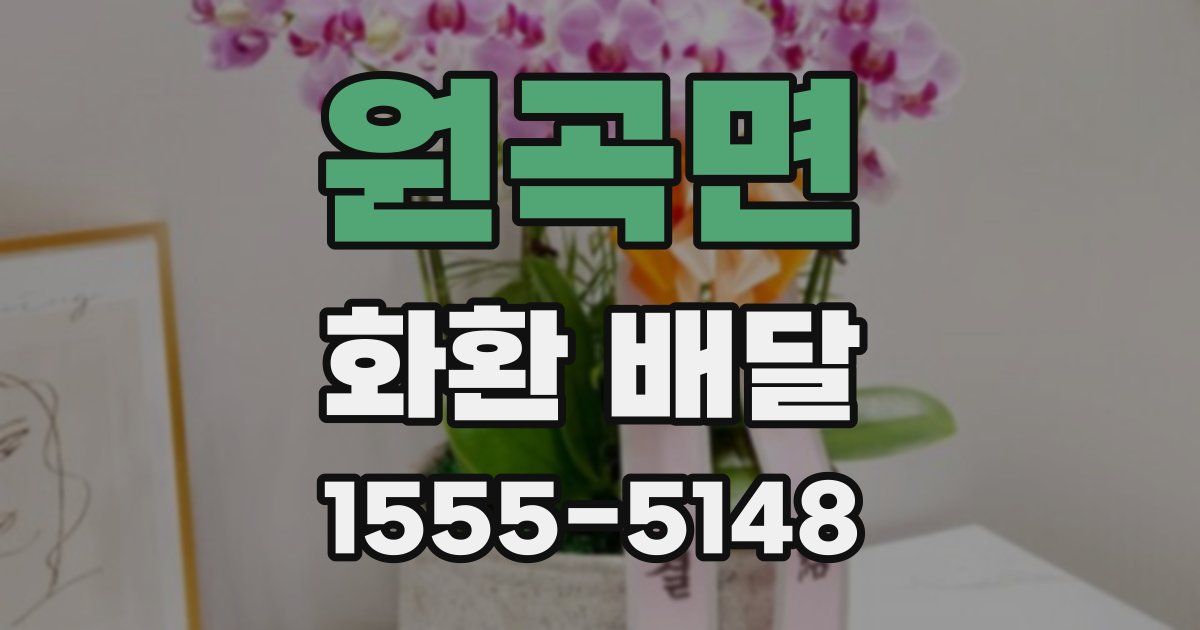 원곡면 화환 배달