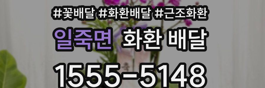 일죽면 화환 배달