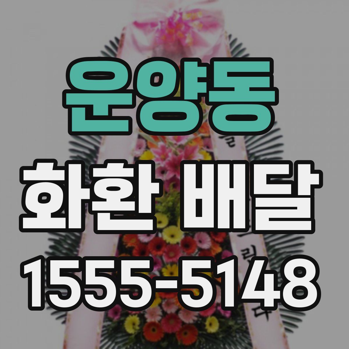 운양동 화환 배달