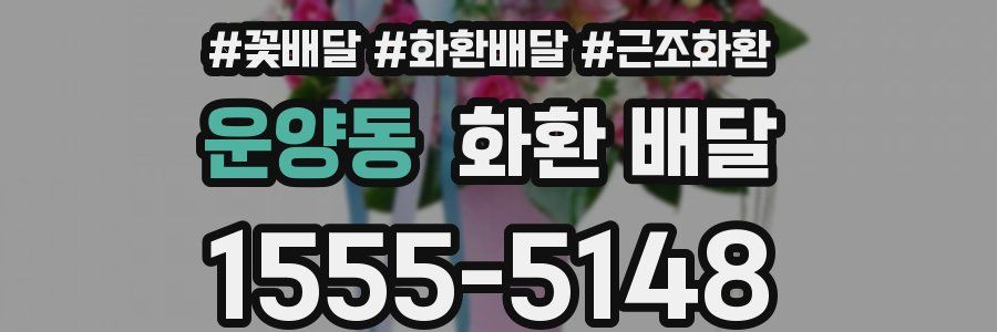 운양동 화환 배달