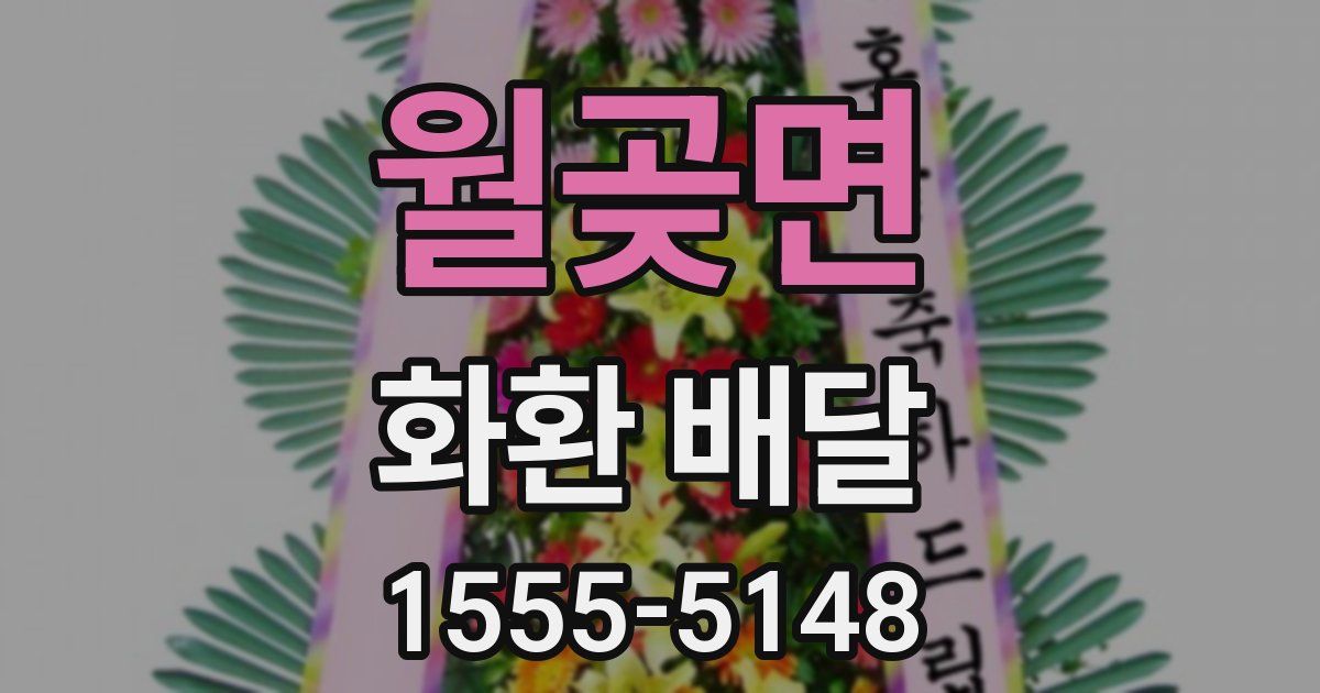 월곶면 화환 배달