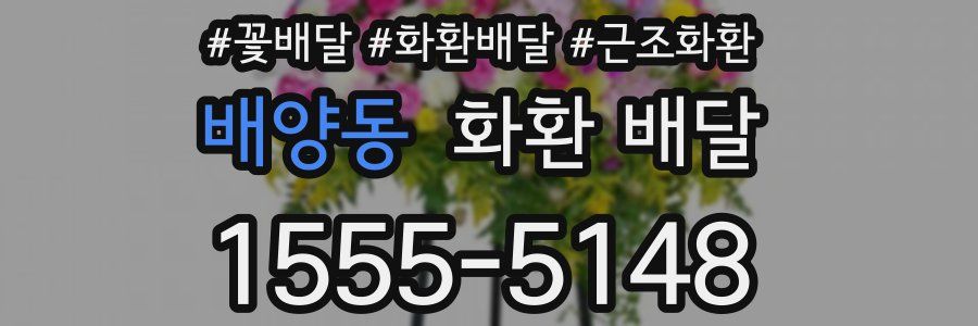 배양동 화환 배달