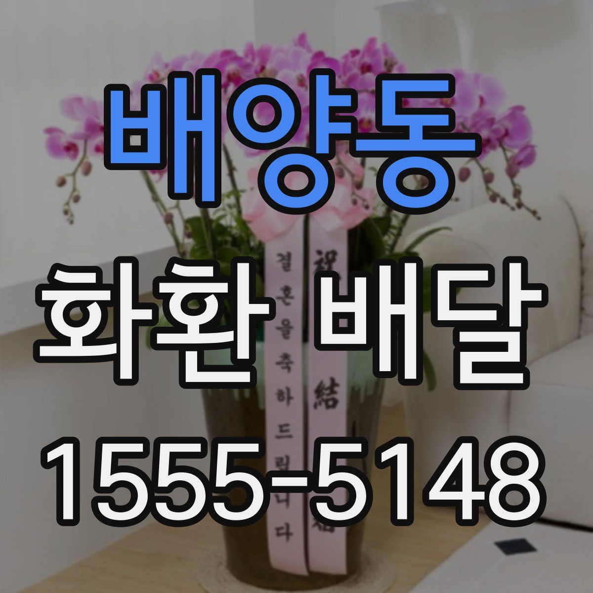 배양동 화환 배달