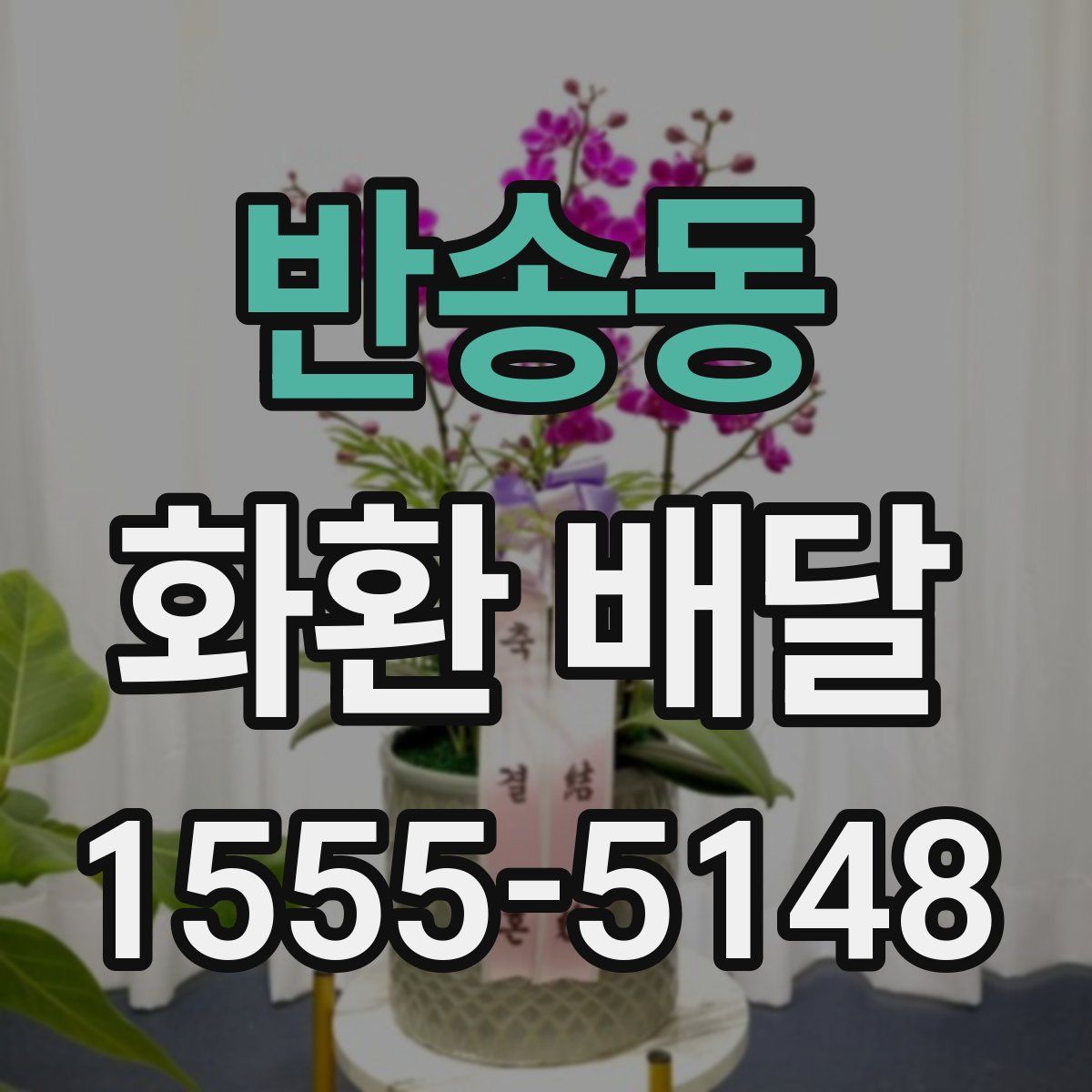 반송동 화환 배달