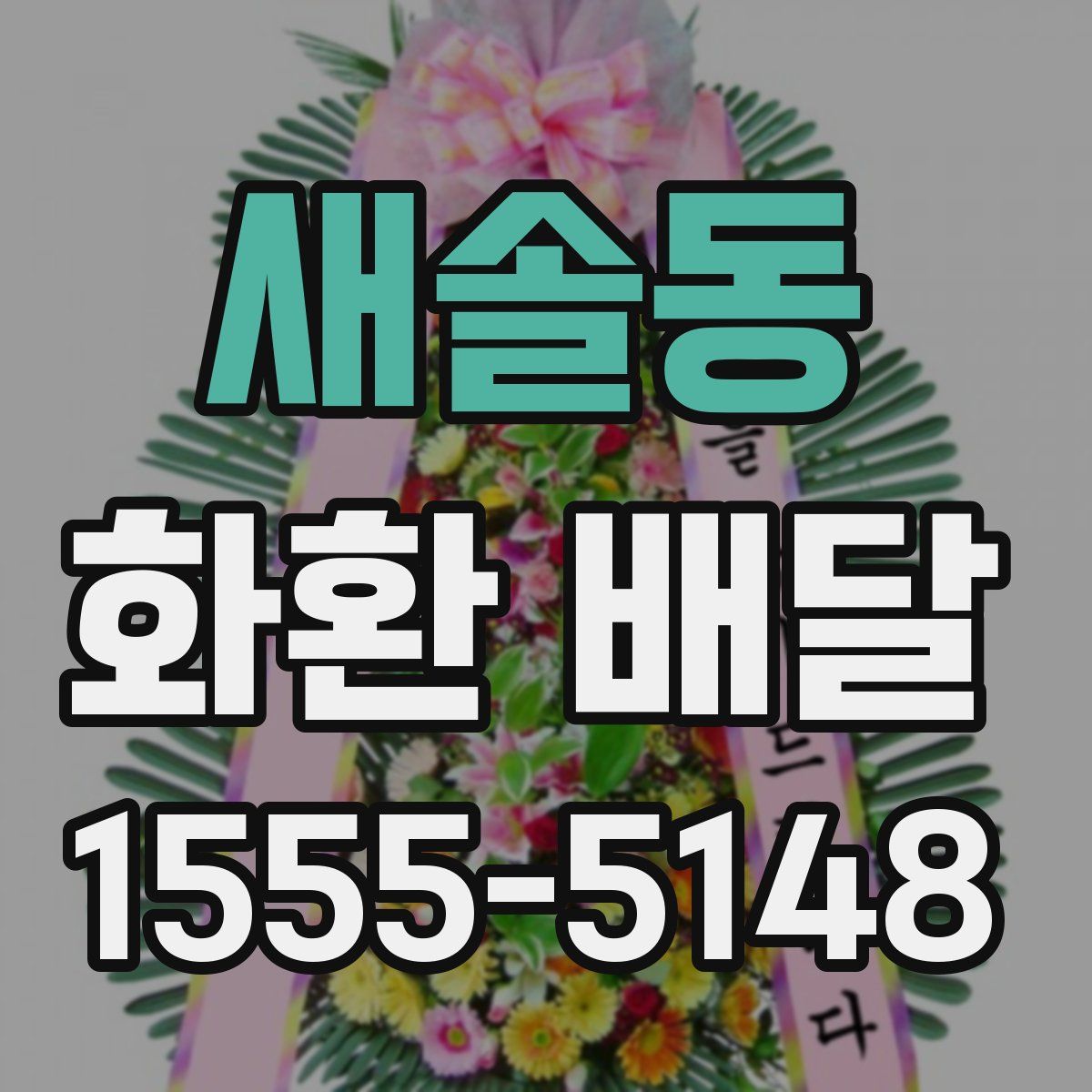 새솔동 화환 배달