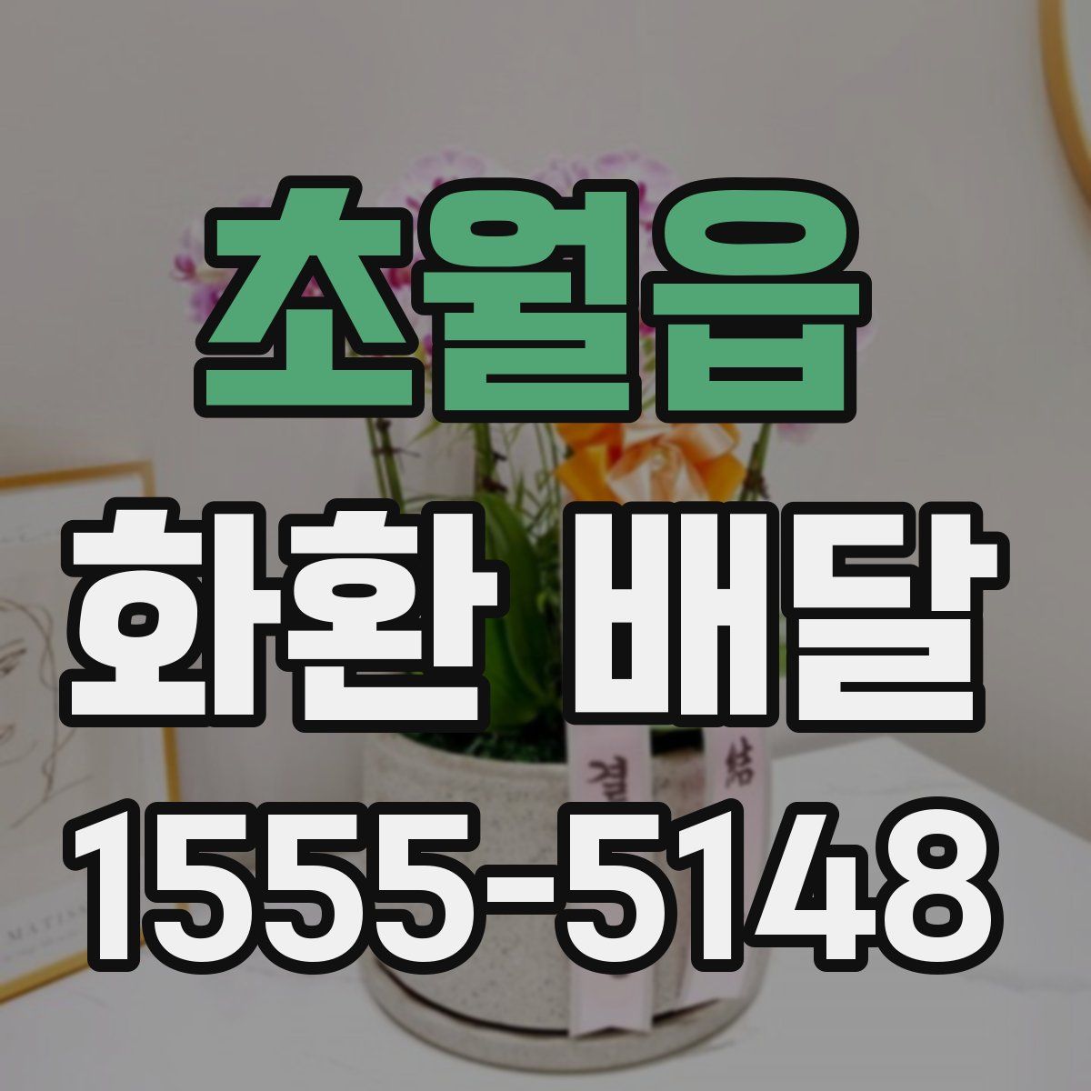 초월읍 화환 배달
