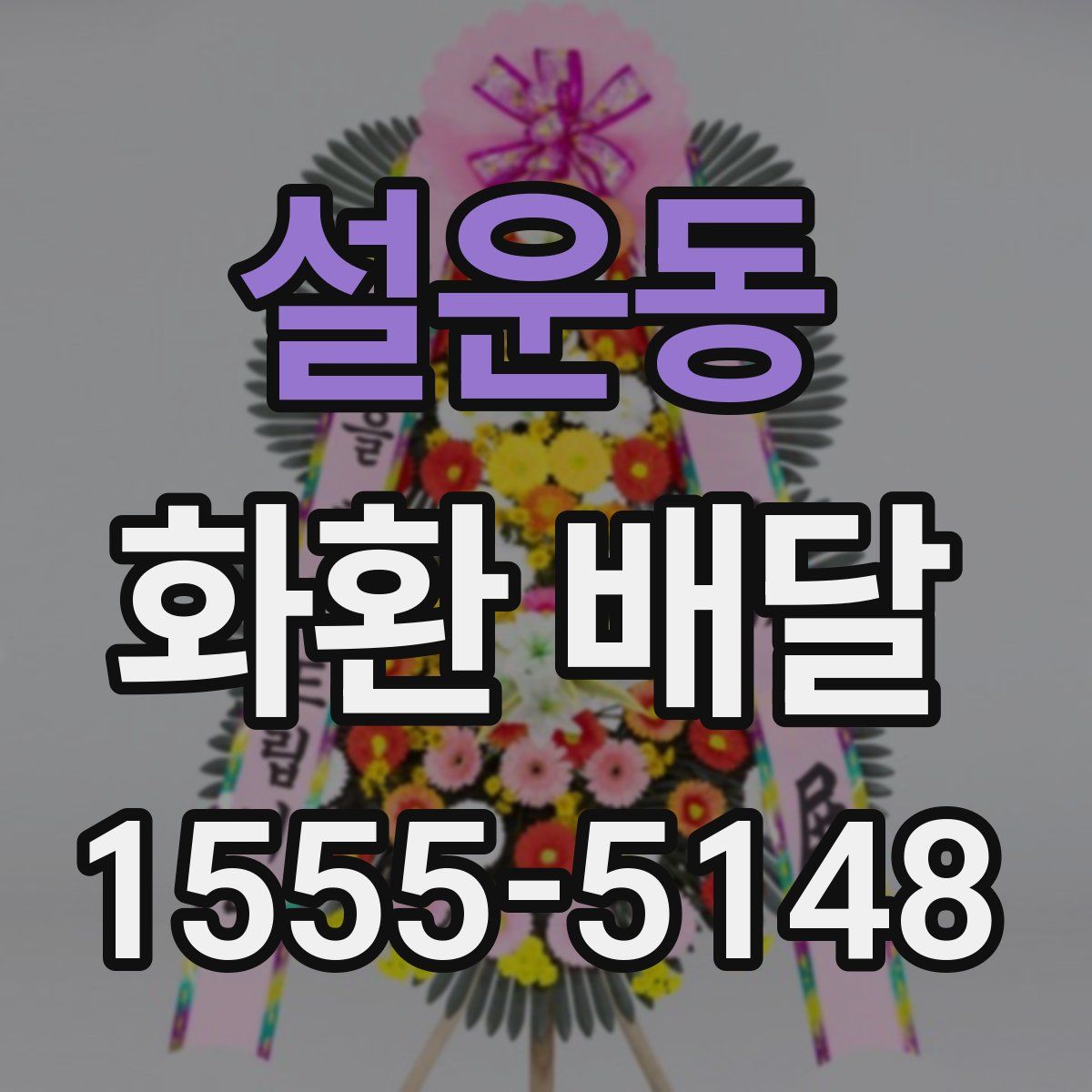 설운동 화환 배달