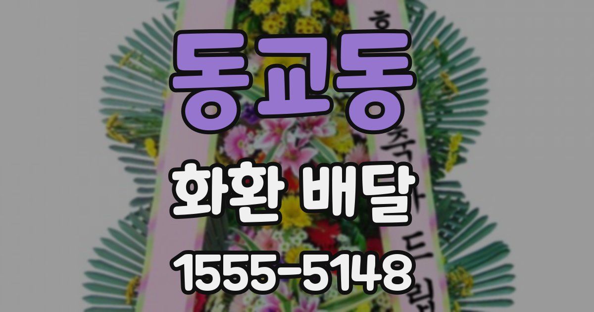 동교동 화환 배달