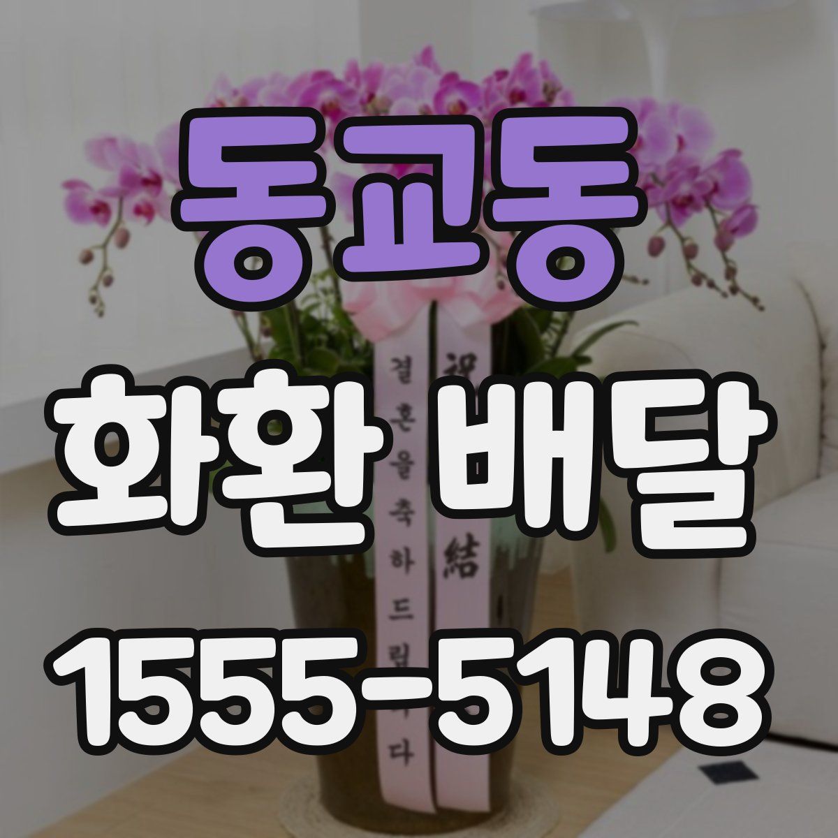 동교동 화환 배달
