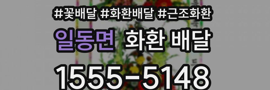 일동면 화환 배달