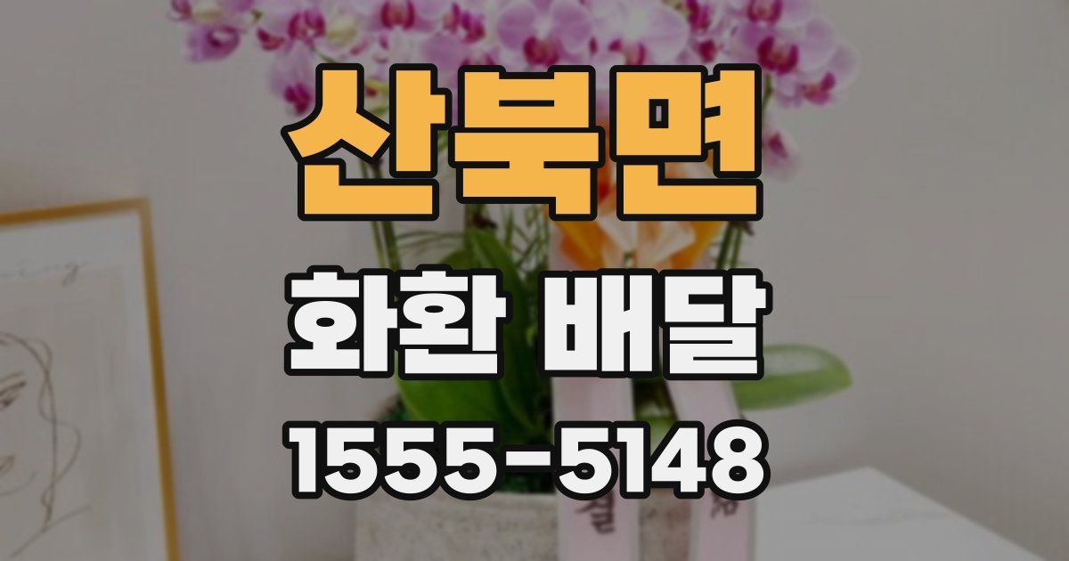 산북면 화환 배달