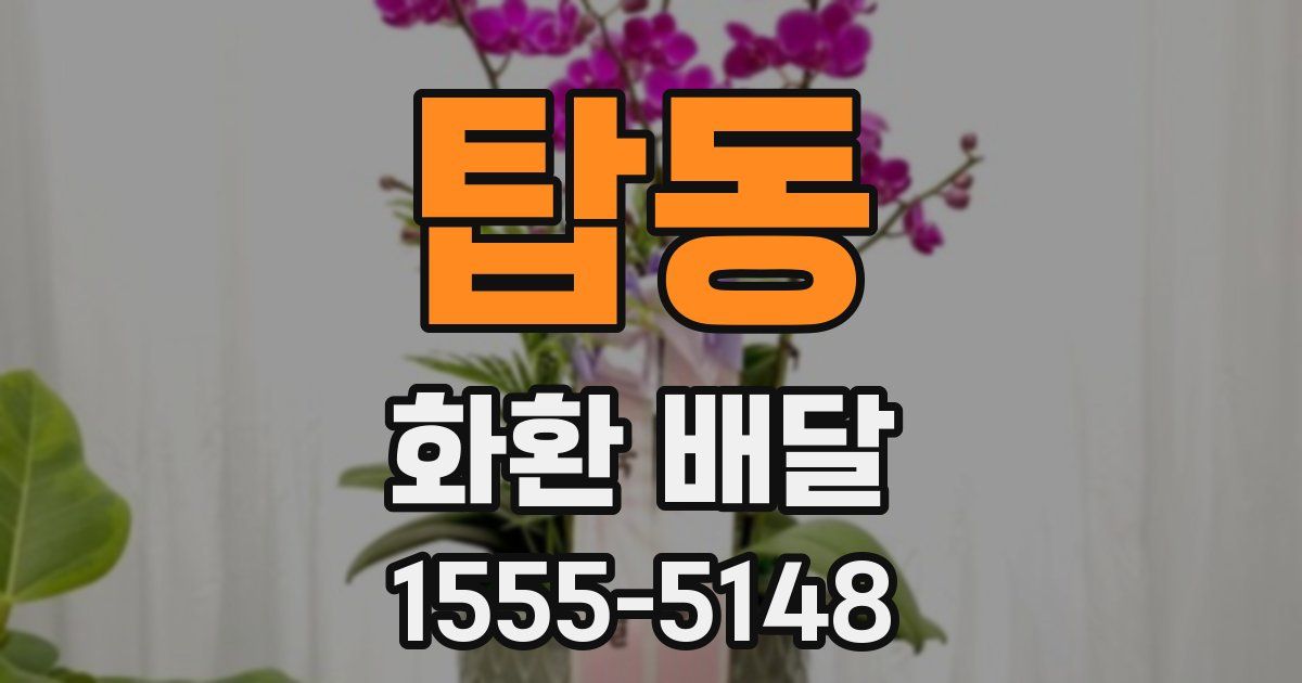 탑동 화환 배달