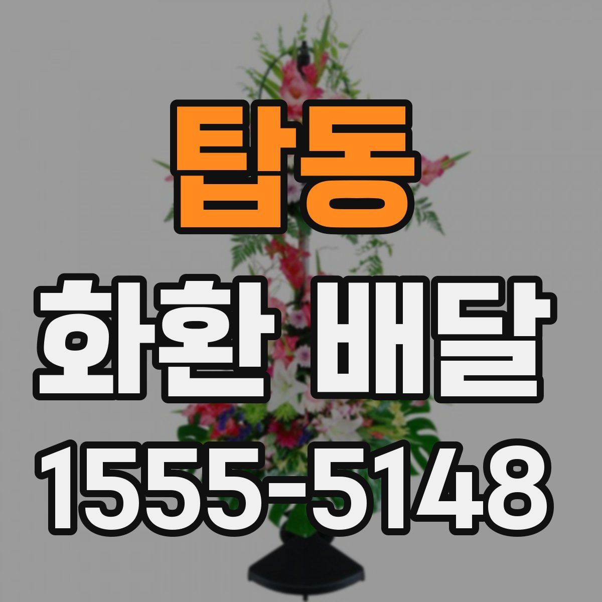 탑동 화환 배달