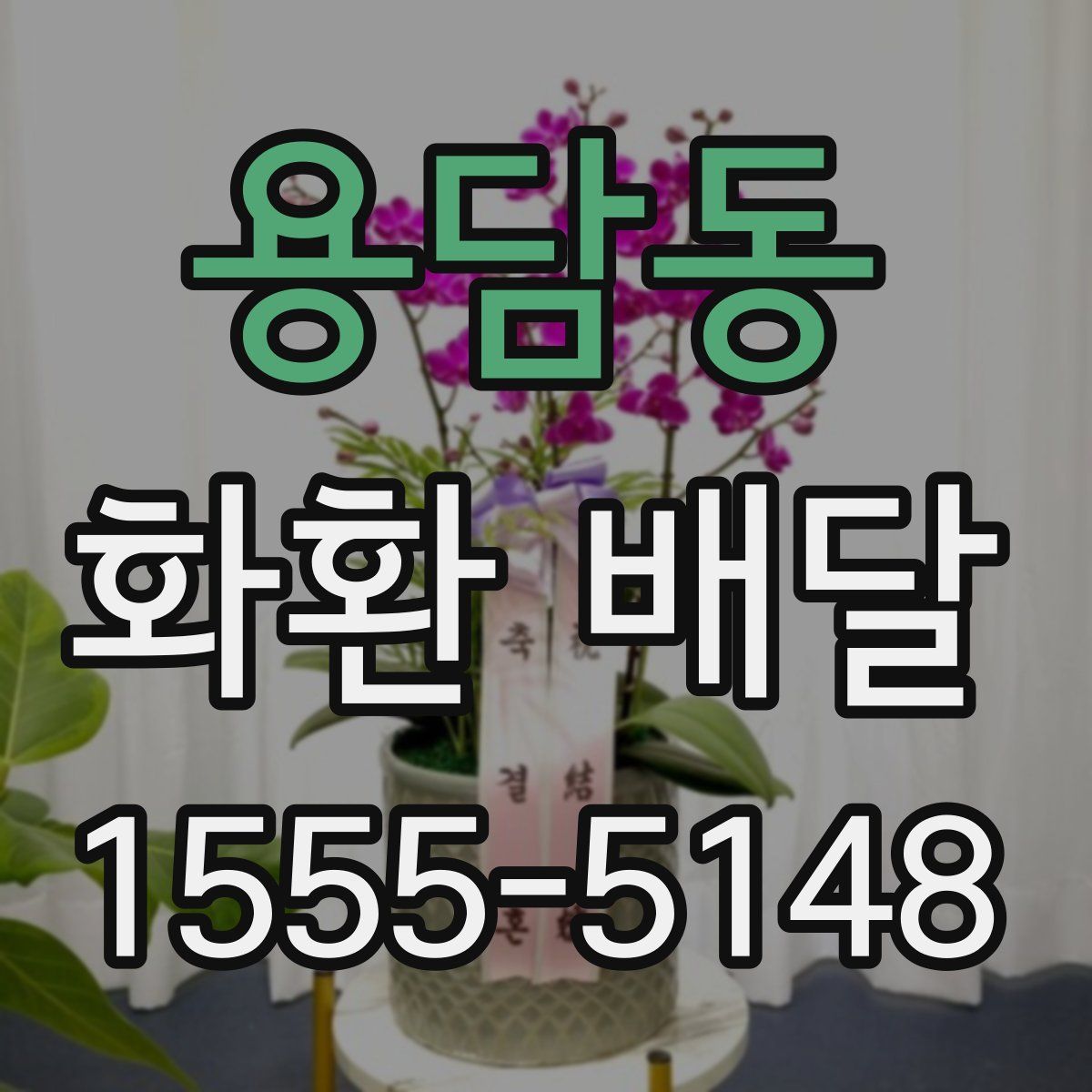 용담동 화환 배달