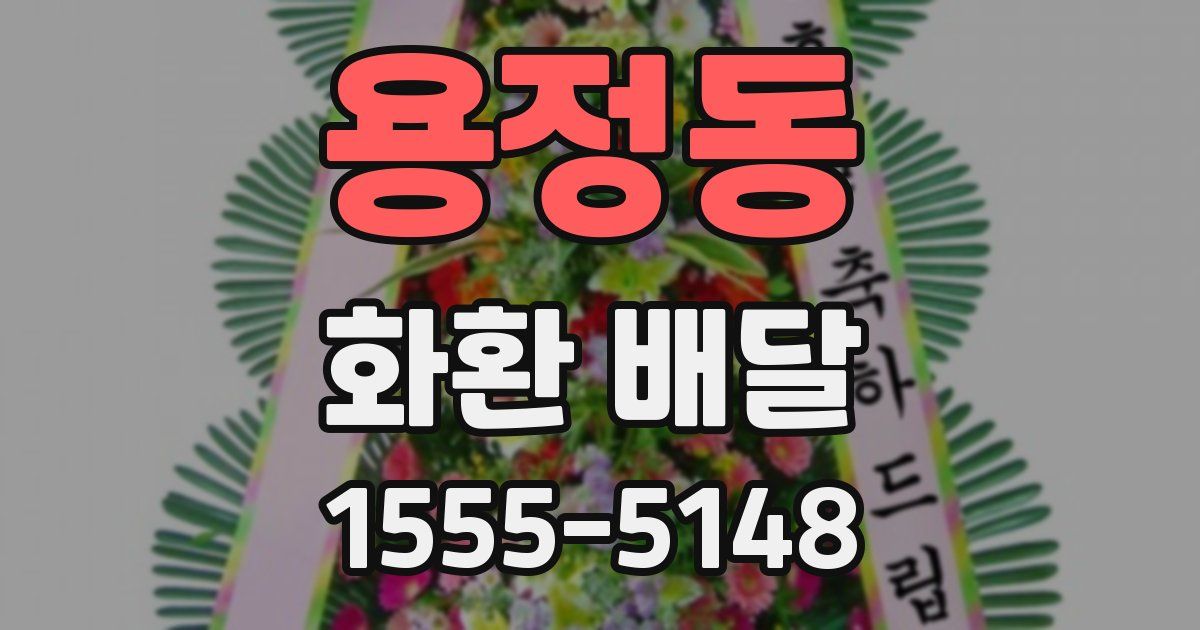 용정동 화환 배달