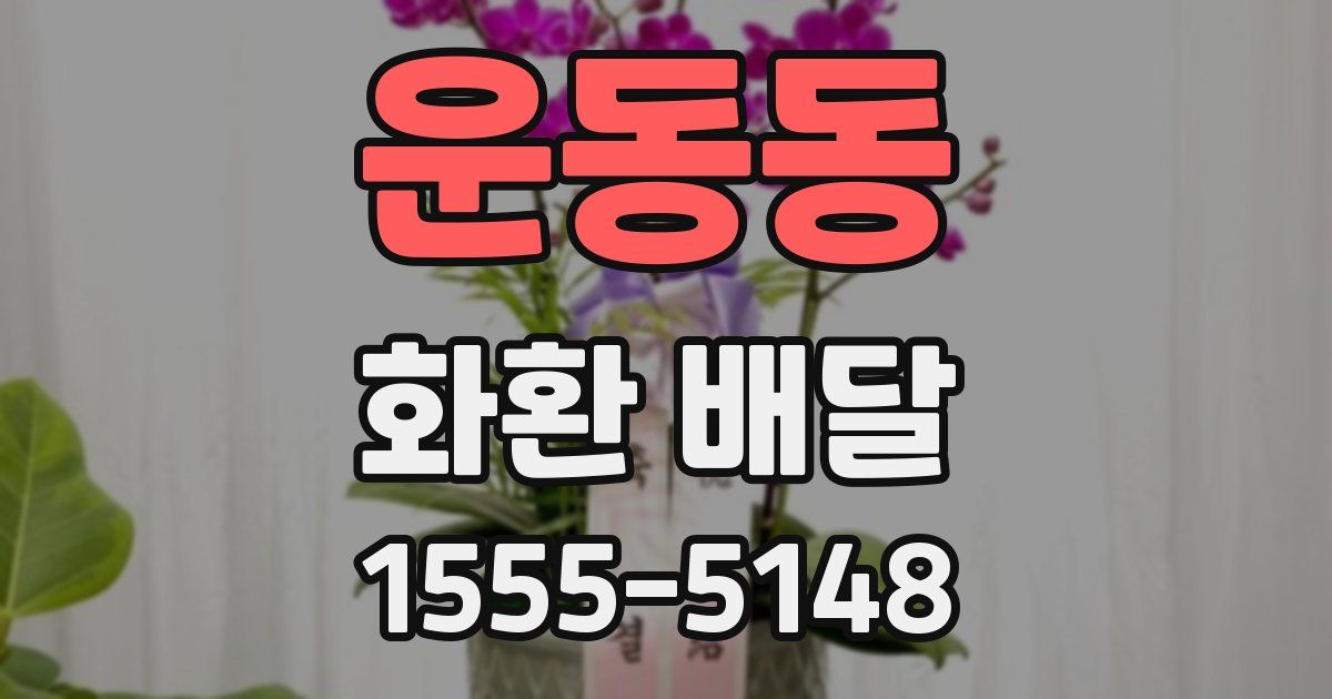 운동동 화환 배달