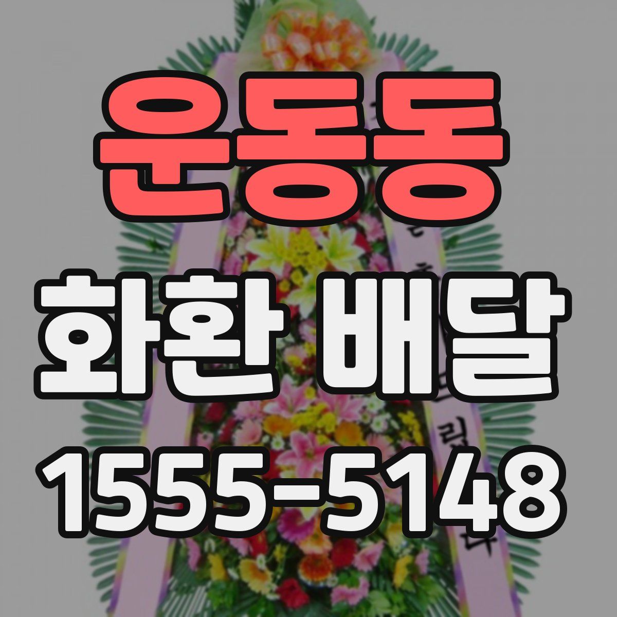 운동동 화환 배달