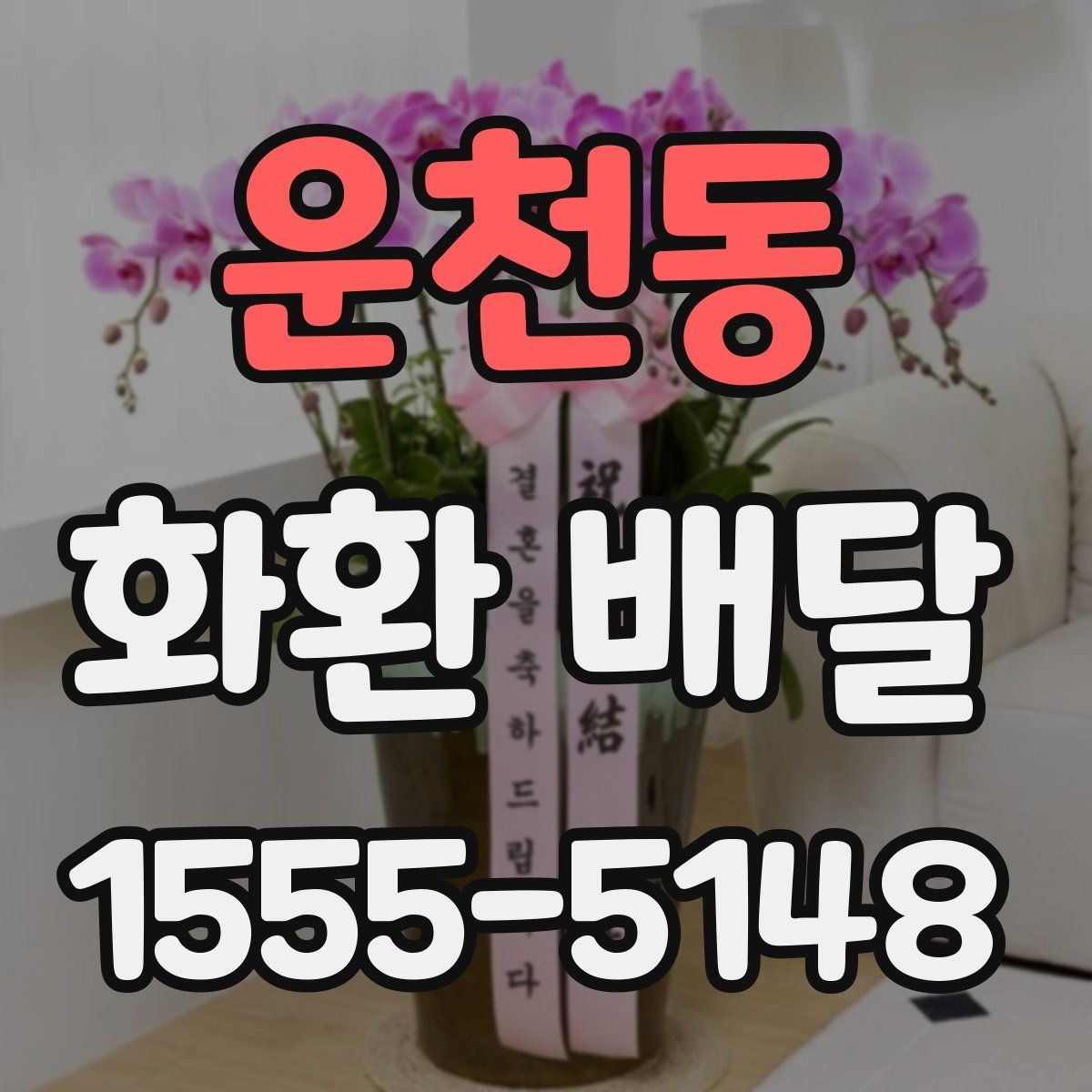 운천동 화환 배달 장소 입력 시 실수 줄이는 방법
