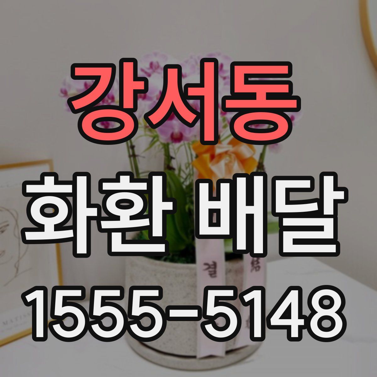 강서동 화환 배달