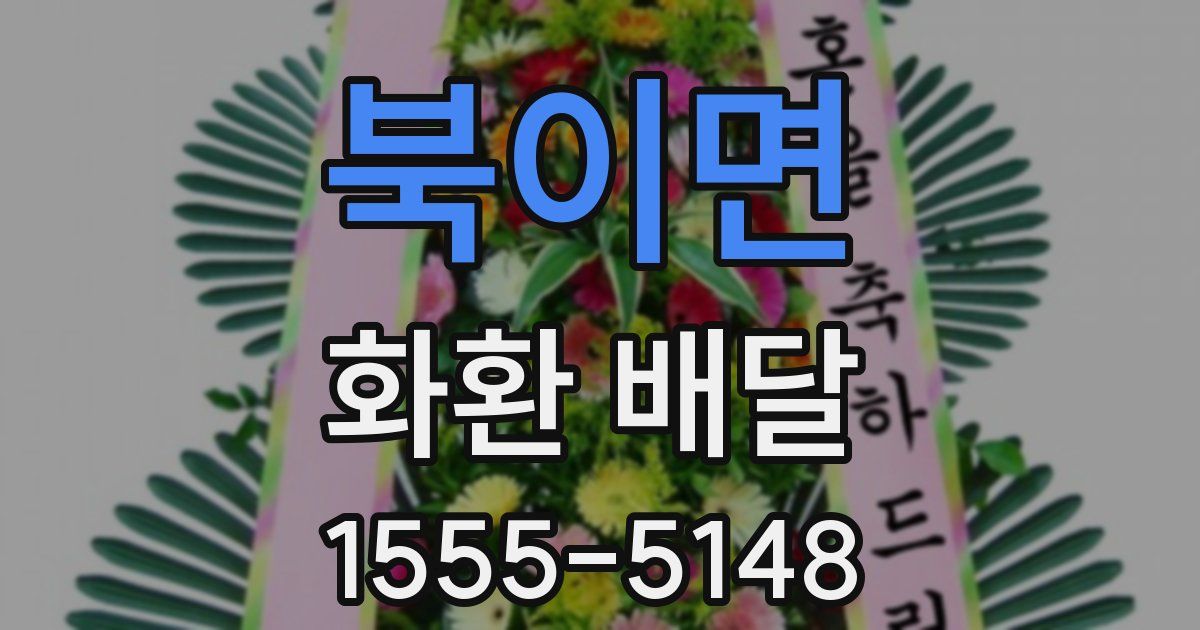 북이면 화환 배달