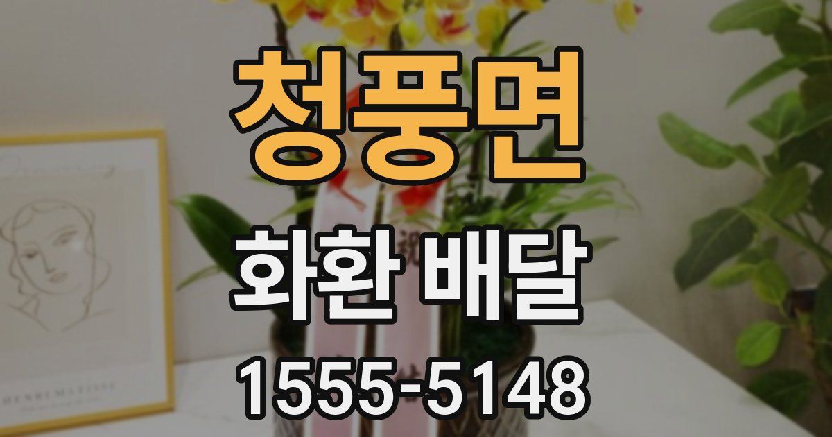 청풍면 화환 배달