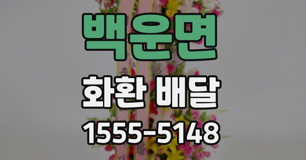 백운면 화환 배달