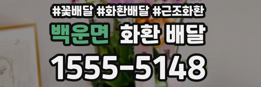백운면 화환 배달