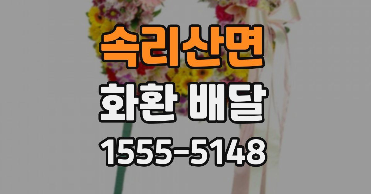 속리산면 화환 배달