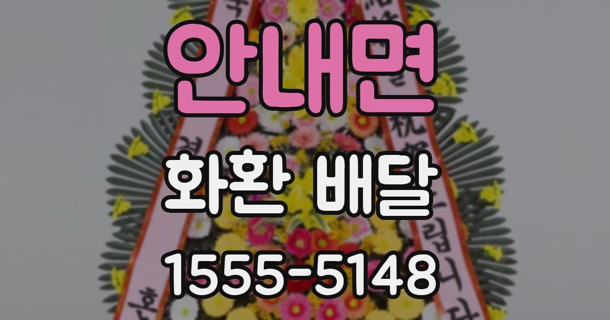 안내면 화환 배달
