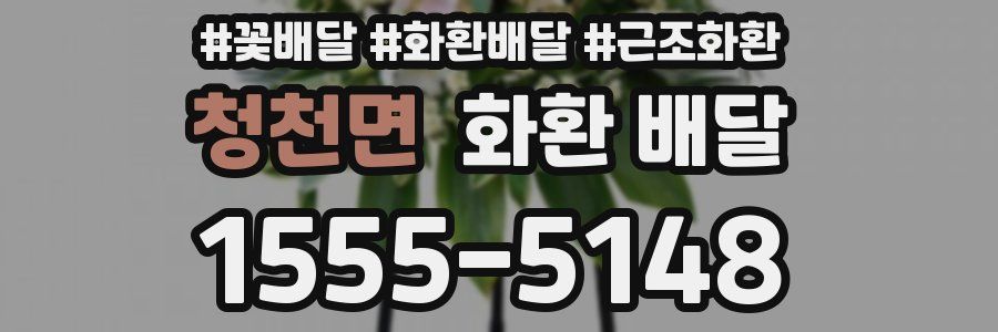 청천면 화환 배달