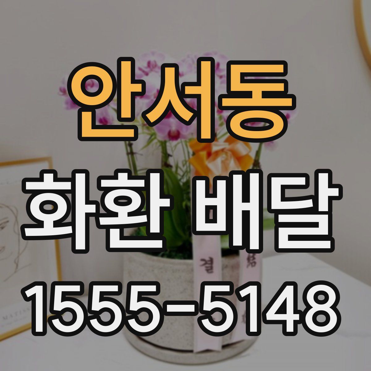 안서동 화환 배달