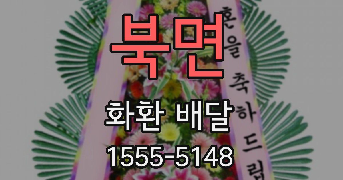 북면 화환 배달