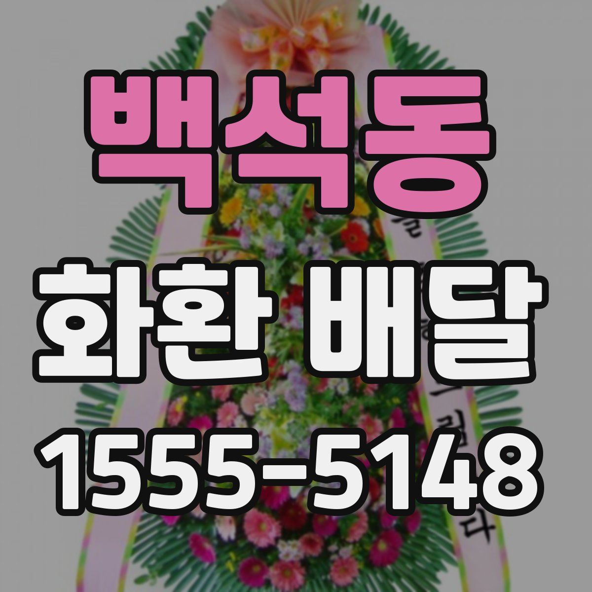 백석동 화환 배달