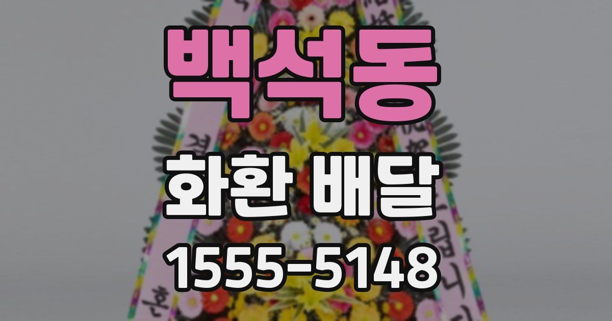 백석동 화환 배달