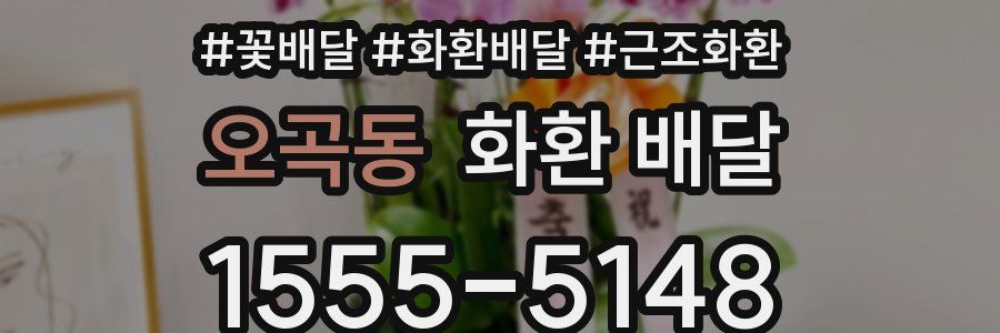 오곡동 화환 배달
