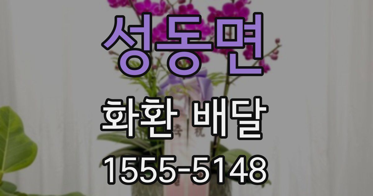성동면 화환 배달