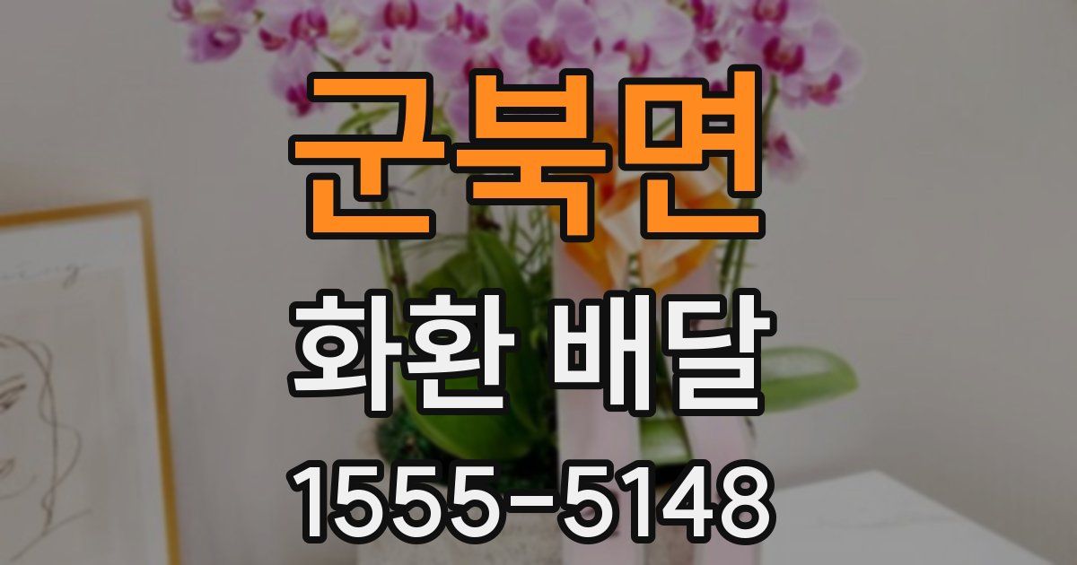군북면 화환 배달