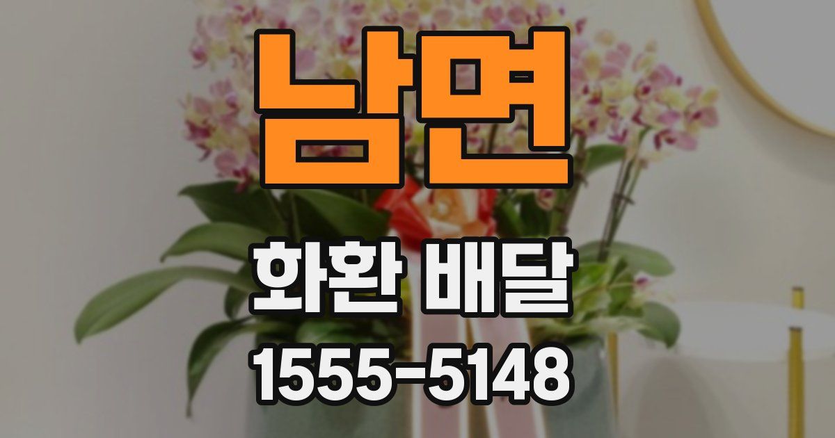 남면 화환 배달