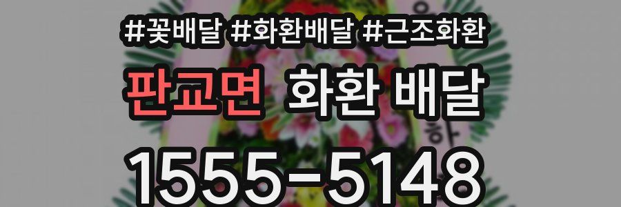 판교면 화환 배달
