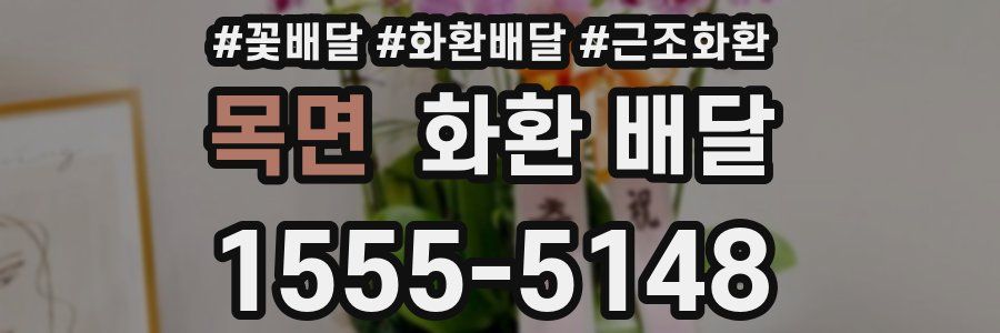 목면 화환 배달