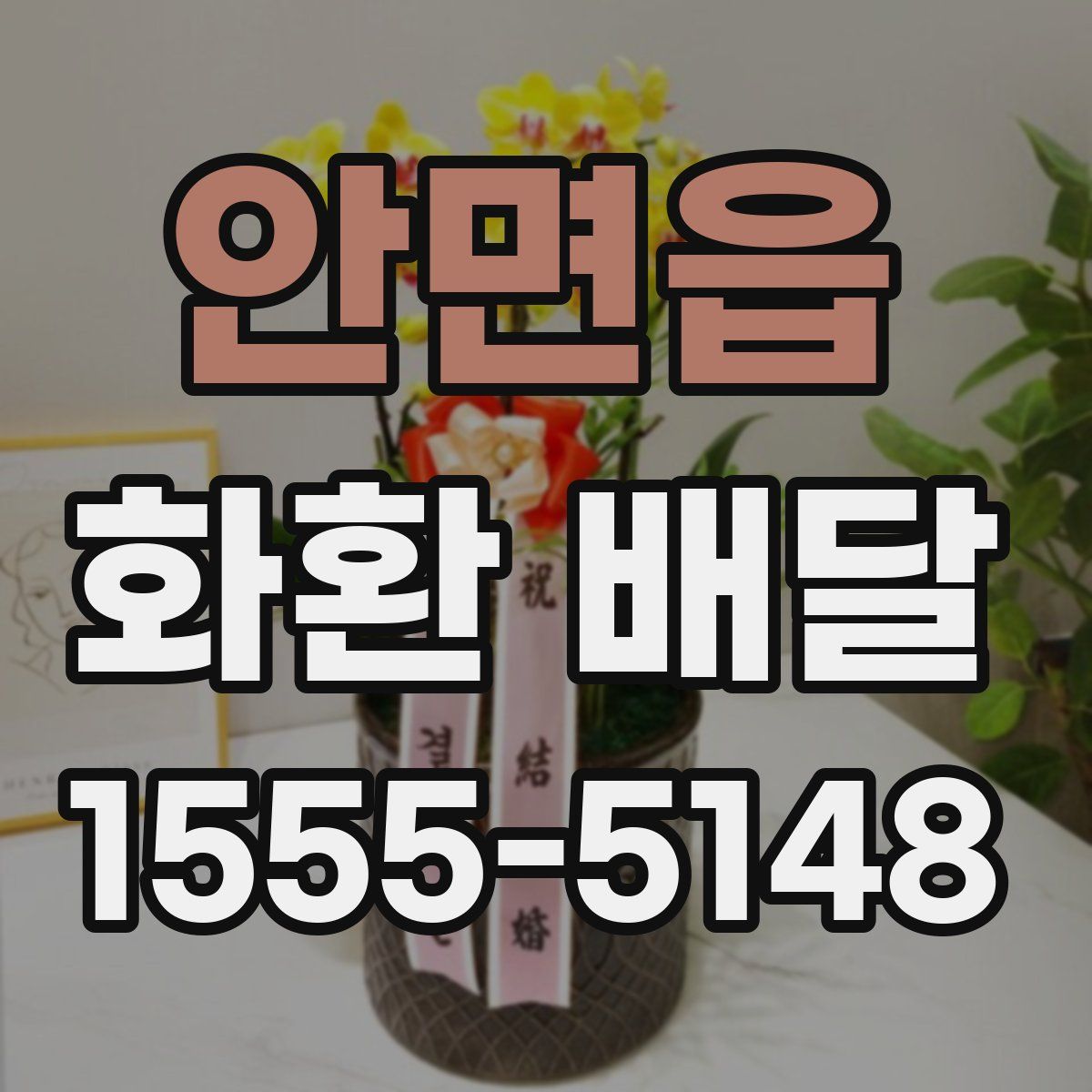 안면읍 화환 배달