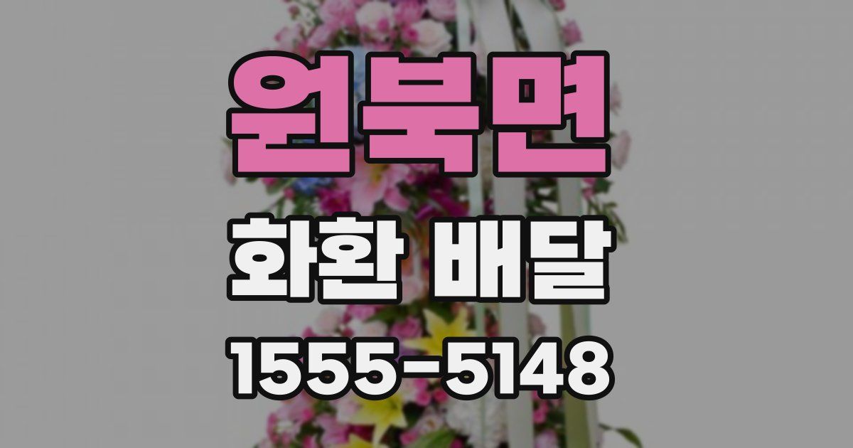 원북면 화환 배달