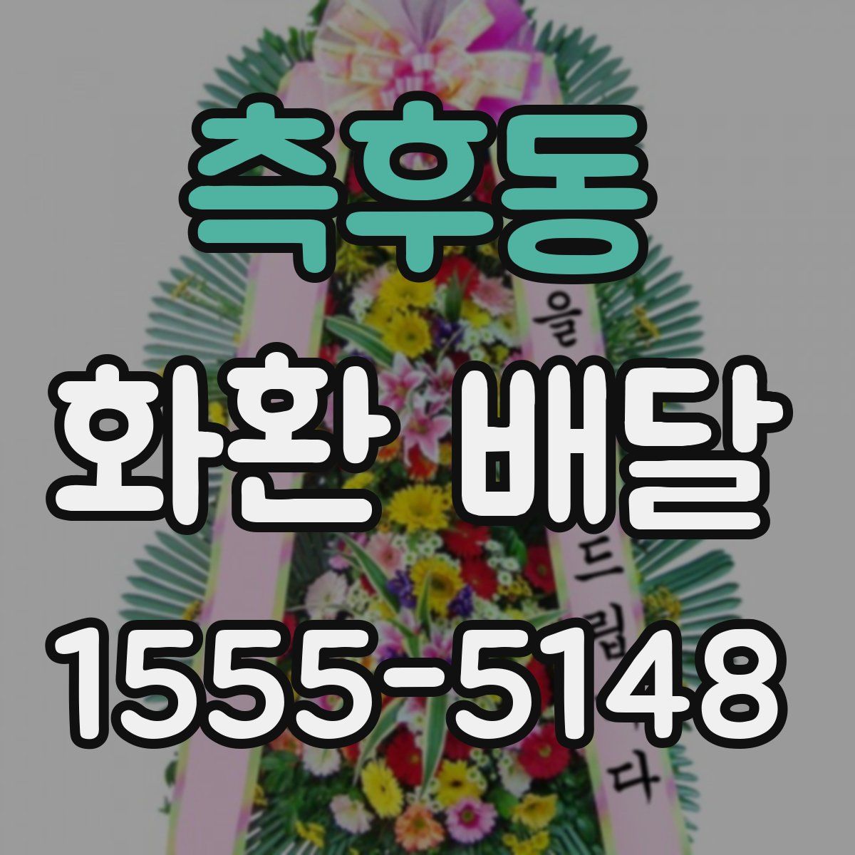 측후동 화환 배달