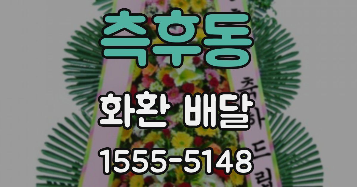 측후동 화환 배달