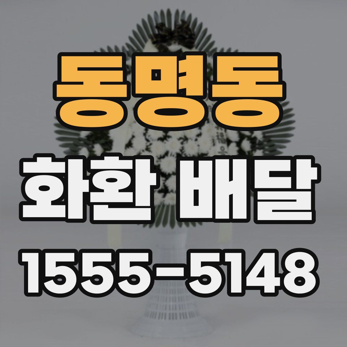 동명동 화환 배달