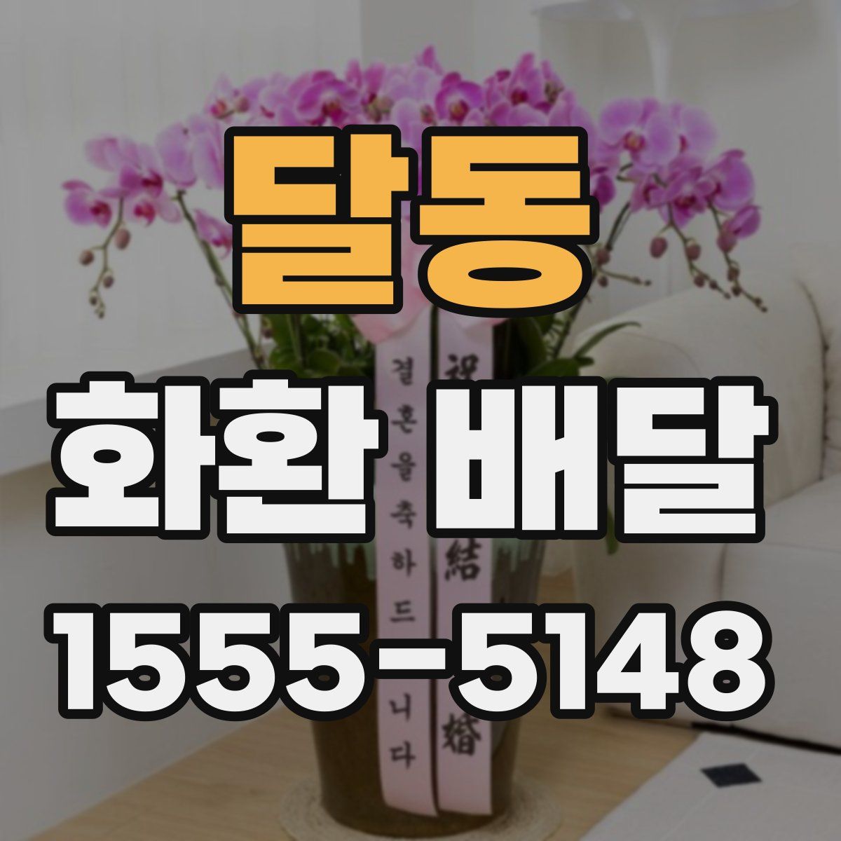 달동 화환 배달