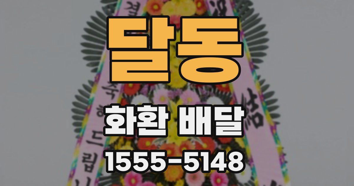 달동 화환 배달